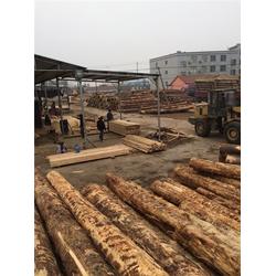 铁杉 永荣木材 铁杉的加工厂